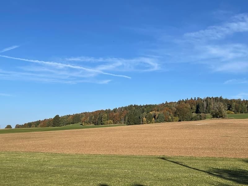 Superbes lofts personnalisés, lumineux et dans un cadre paisible - Bild 8