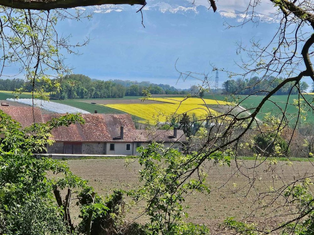 Villa individuelle de standing sur plan - NEUVE -  Bild 7