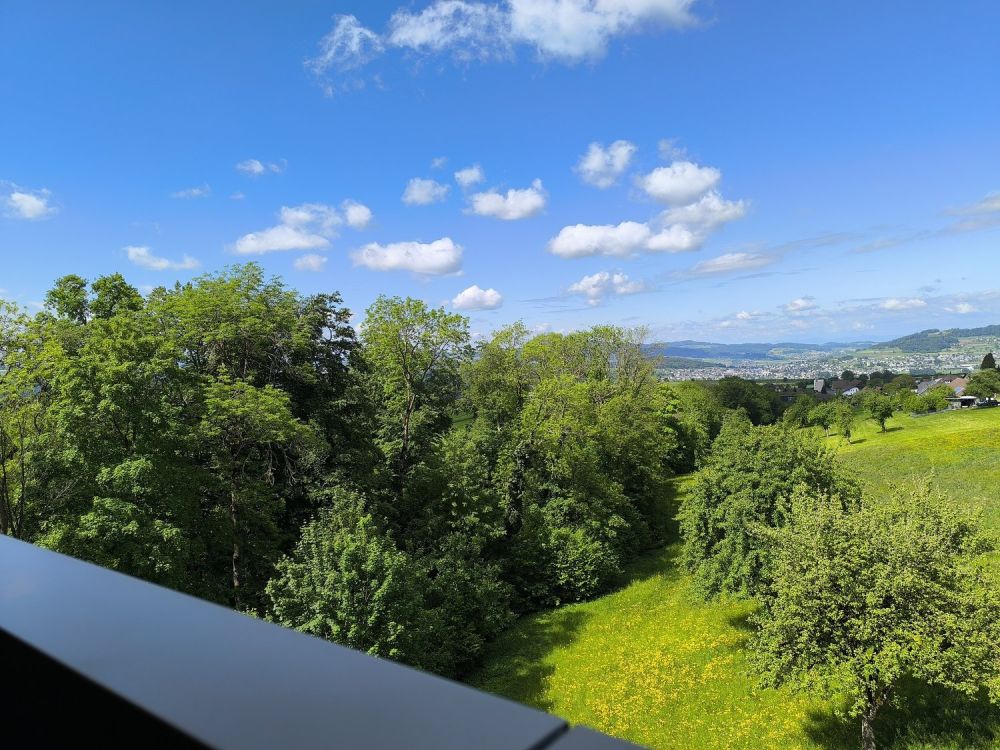 204 m² für Wohnen und Arbeiten perfekt vereint -  Bild 6