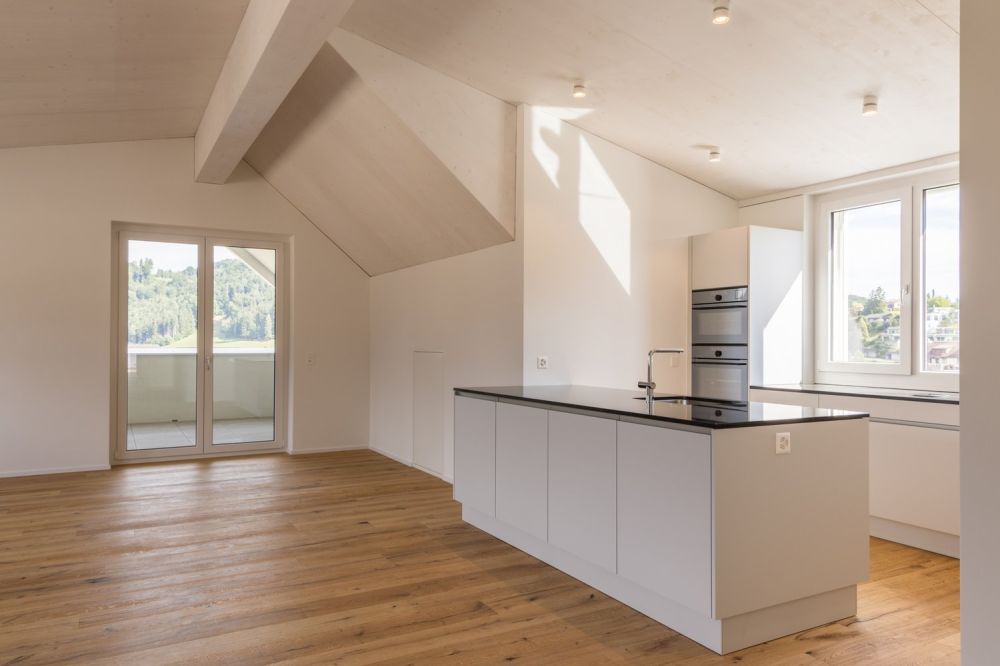 Grosszügige Neubau-Dachwohnung mit Weitblick und Natur - Wohn- und Essbereich
