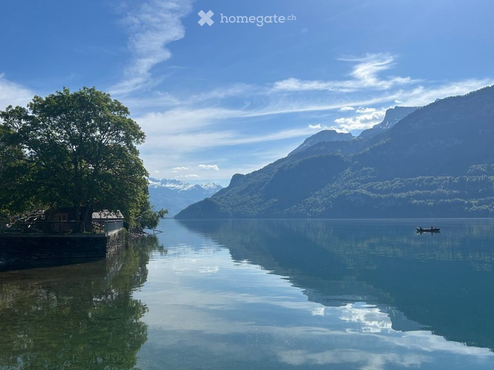 Stunning Lake View Brienz -  Bild 11