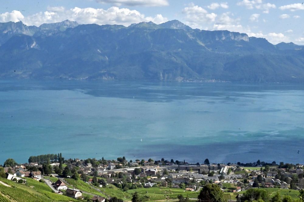 SELTEN. Panoramawohnung ohne Lärmbelästigung! -  Bild 1
