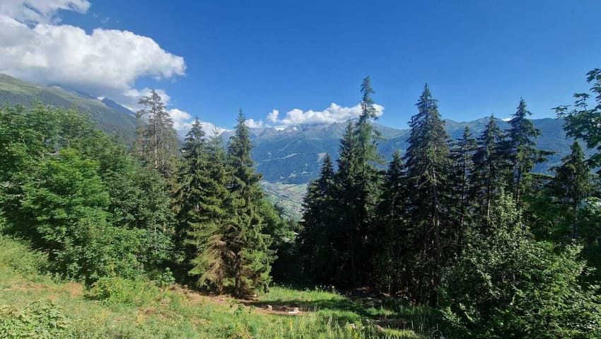 MAGNIFIQUE CHALET A CONSTRUIRE - RESIDENCE PRINCIPALE - Panorama