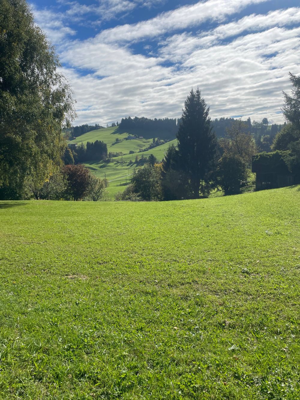 Schickes modernes 7-Zi.-Einfamilienhaus an privilegierter Aussichtslage in Teufen - Bild 2