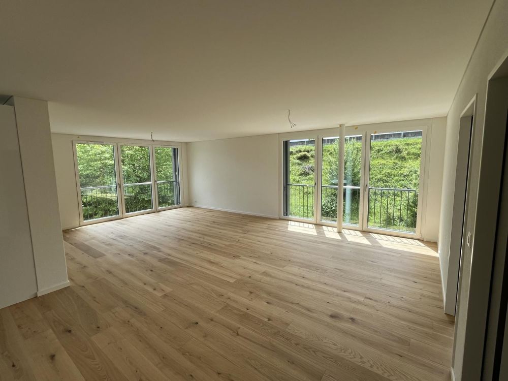 Erstvermietung 3.5 Zi-Wohnung 158m2 Loft-Style, 2600.- Fr -  Bild 1