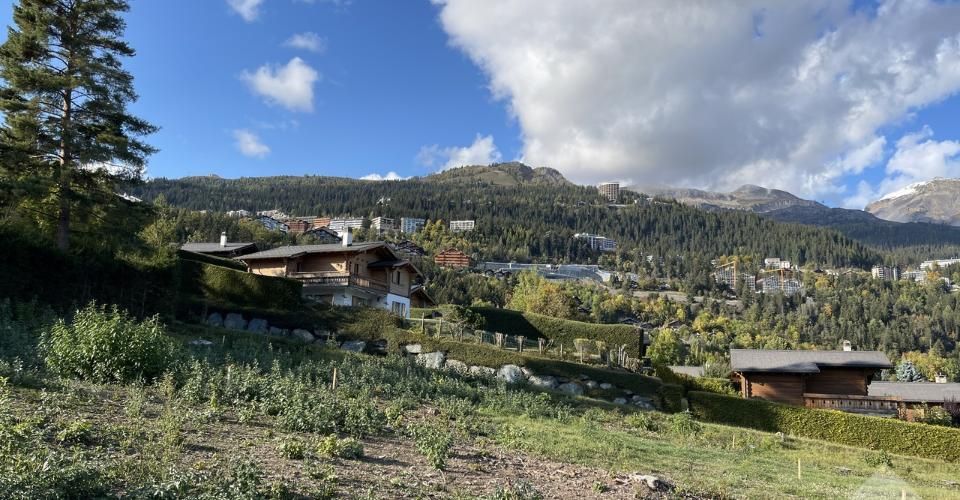 En construction, chalet traditionnel, quartier calme, vue panoramique - Chalet 4.5 pièces - image - 3