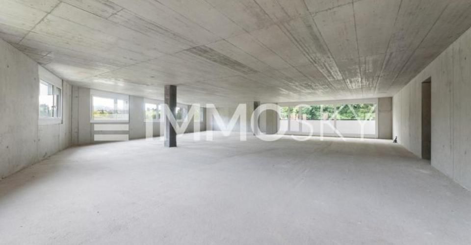 Seltene Chance: Wohnen nach Ihren Vorstellungen - Appartement 4.5 pièces - image - 3