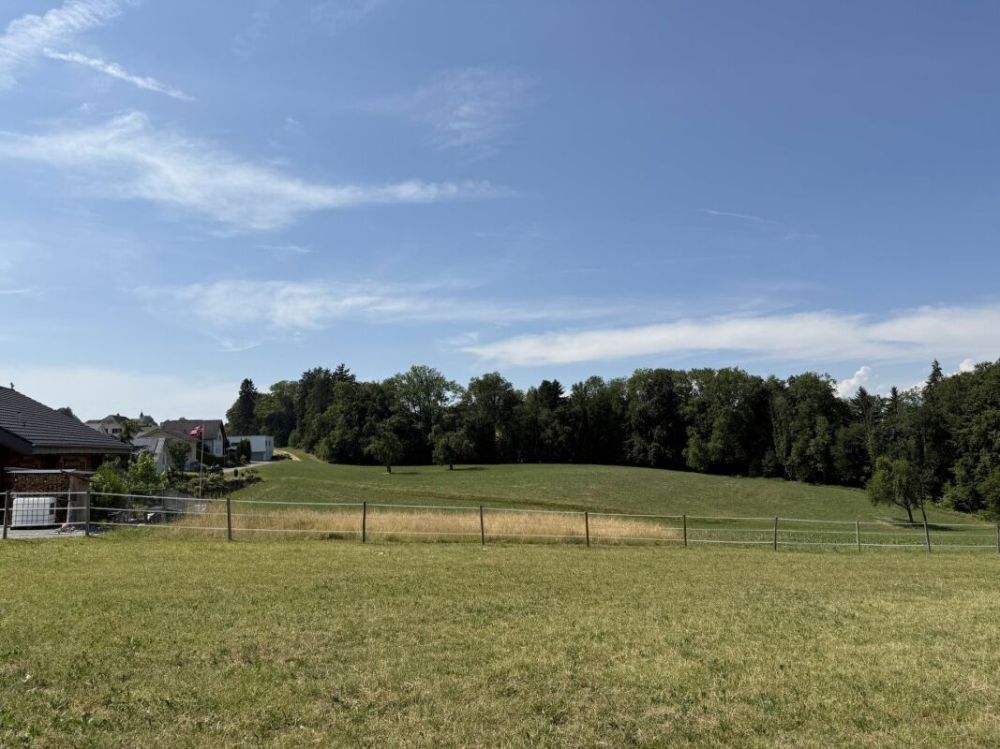 Neubau 5.5-Zi.-Doppeleinfamilienhaus an erhöhter Wohnlage mit Weitsicht in Amlikon-Bissegg (Haus A) -  Bild 4