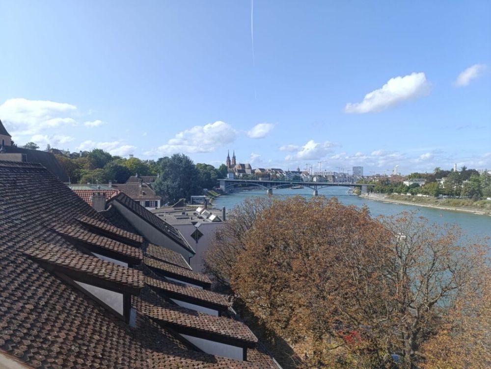 Wohnen direkt am Rhein (St. Alban-Tal) Kopie -  Bild 10