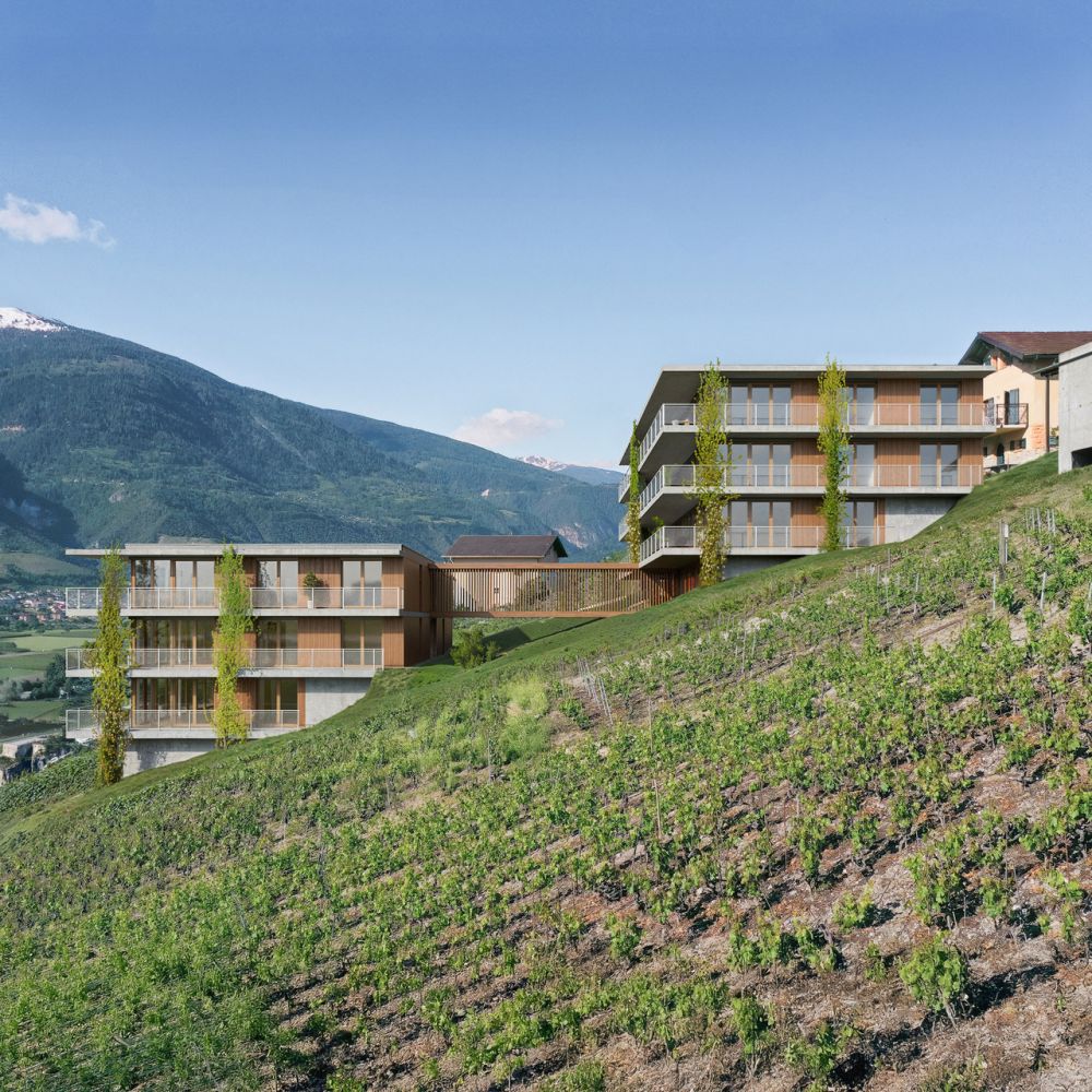 Lot B31 - 3.5 pièces neuf avec vue imprenable - Vue depuis les vignes