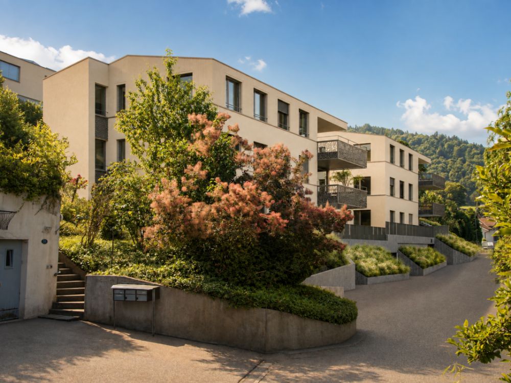 "Vista Ebikon" Neubau Eigentumswohnungen an attraktiver Lage -  Bild 1
