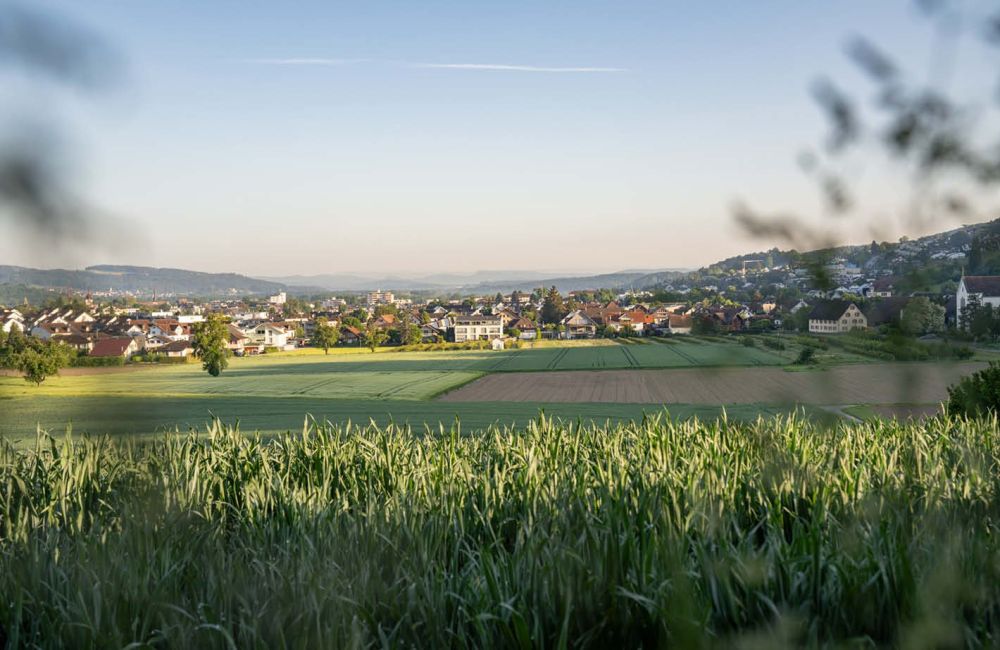 Letzte verfügbare Einheit – Loft mit 150m² Wohnfläche und bis 4.2m Raumhöhe -  Bild 8