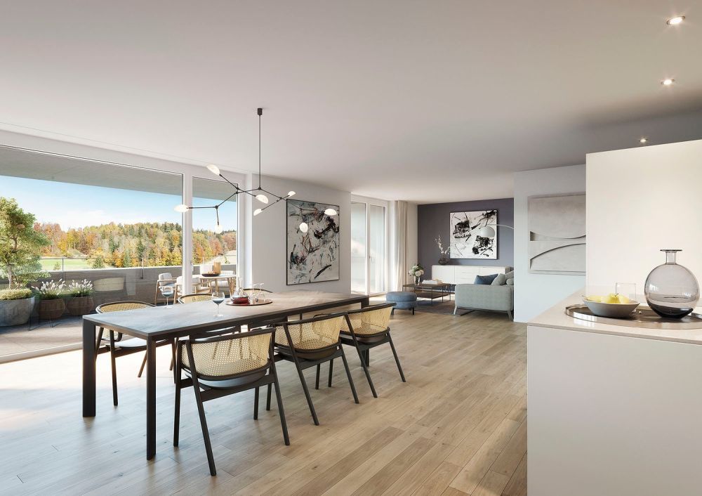 Attika-Terrassenwohnung - Zuoberst mit Weitsicht - Innenvisualisierung