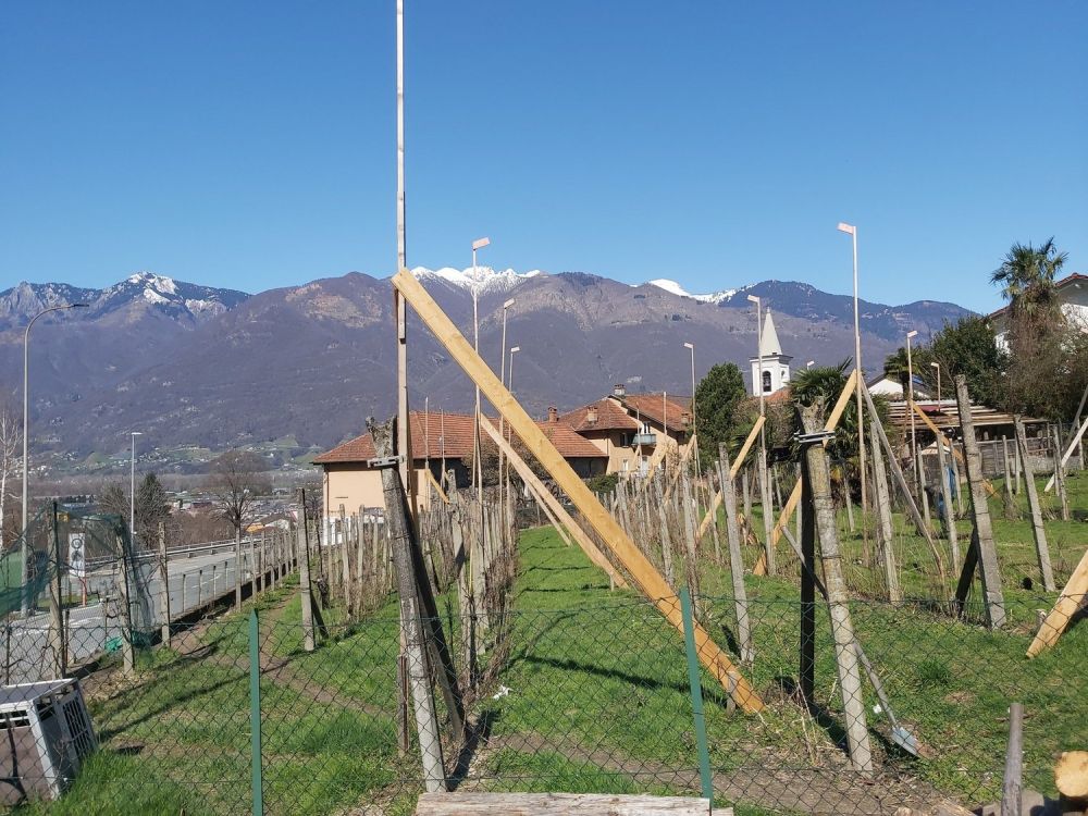 Einfamilienhaus in naher Bauausführung in Cadenazzo in neuem Wohngebiet - Image 6