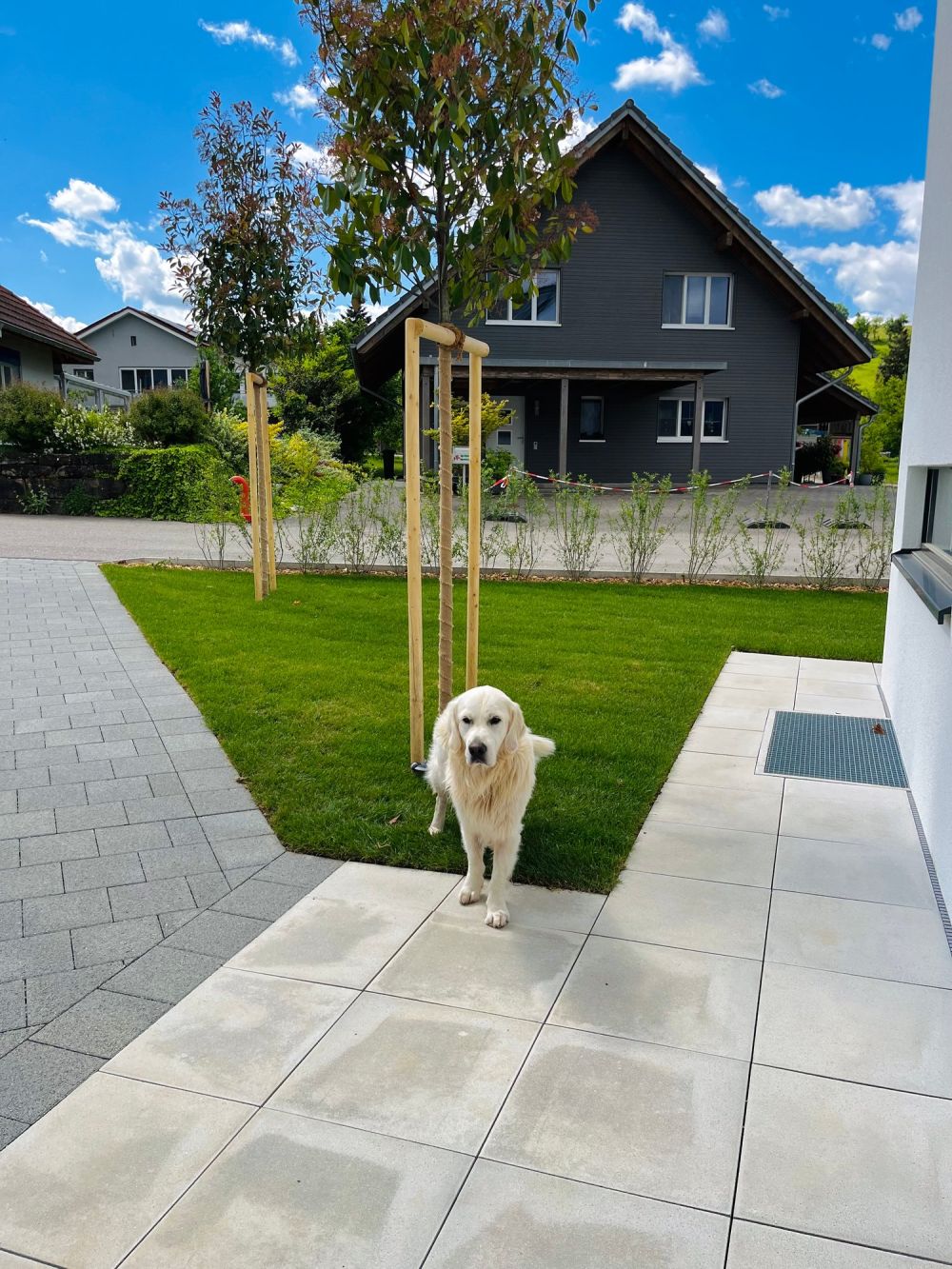 NEUBAU   Traumhaftes Eigenheim an sehr idyllischer Lage in Leuzigen -  Bild 7