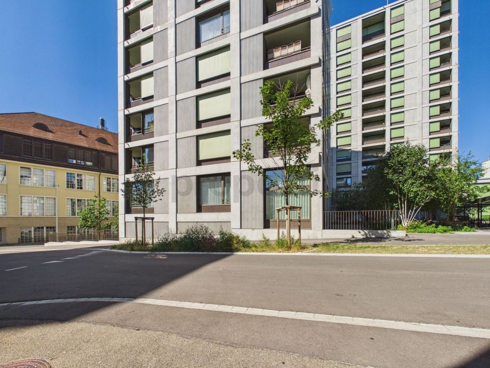 Kompaktes Raumwunder nahe dem Rheinfall: Neuwertige Kochinsel, En-Suite-Bad, Waschturm und Bahnhof in 50 m - Image 7