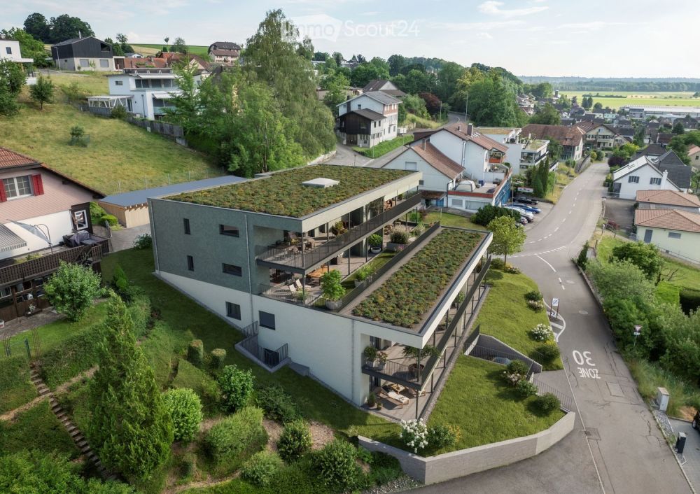 Moderne 3.5-Zimmer-Terrassenwohnung – Neubau in Kestenholz -  Bild 2