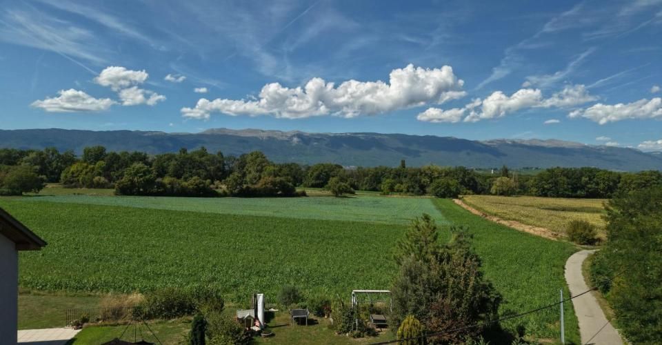 CHANTIER AVANCÉ - Attique de caractère avec jardin privatif & éligibil - Attique 3 pièces - image - 5