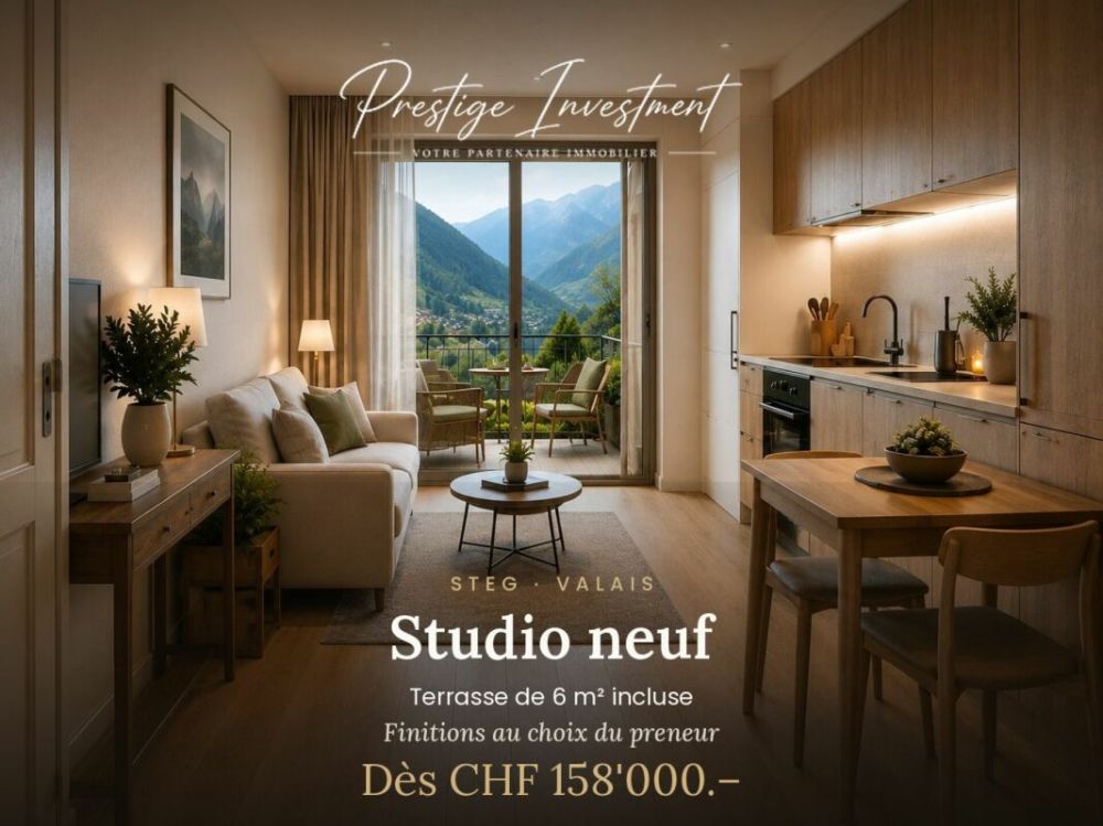 STUDIO NEU IN STEG (VS) - AB CHF 158'000.- -  Bild 1