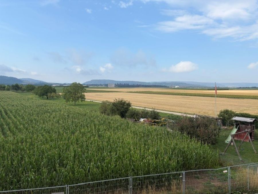 BLICK INS GRÜNE! -  Bild 2