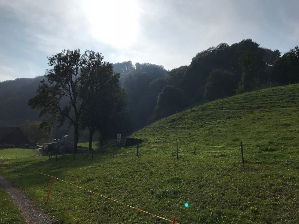 Traumhafte Wohnlage mit Einliegerwohnung | Baubewilligung vorhanden - Bild 5