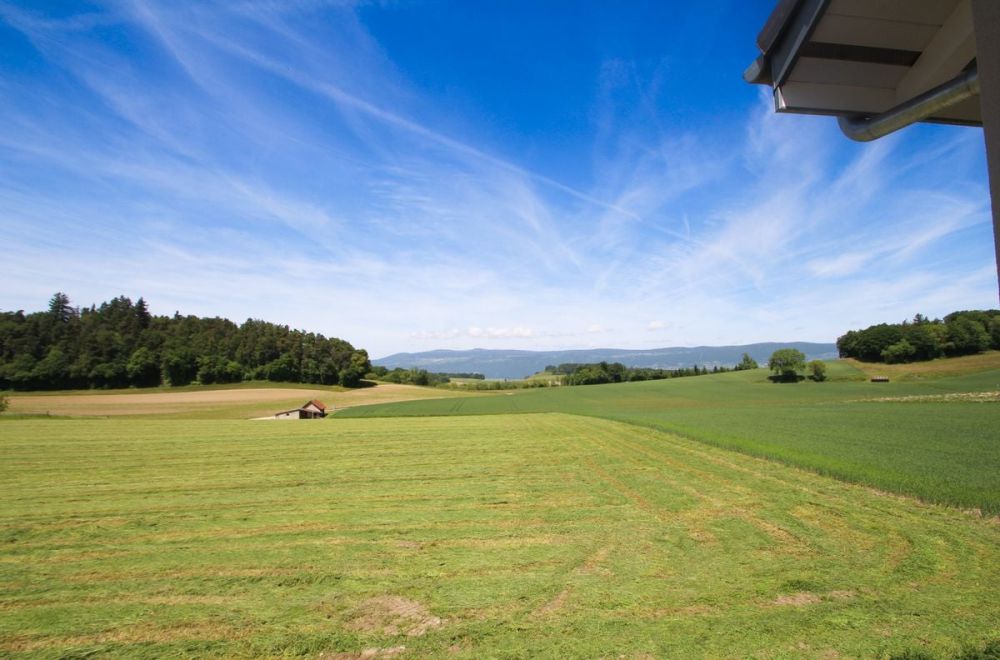 Dernières finitions à choix - Splendide villa à Cronay -  Bild 1