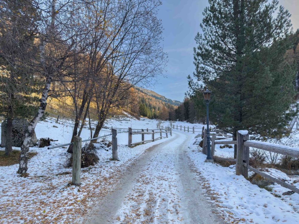 Projekt Chesa Alvetern - 2.5-Zimmer DG-Neubau-Ferienwohnung in S-charl - Bild 5