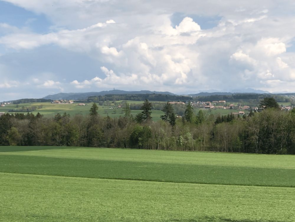Nouvelle promotion de 4 villas individuelles -  Bild 8
