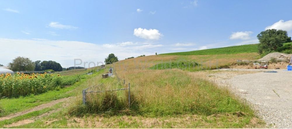 Neubauprojekt in Lamperswil - Wohnen im Einklang mit der Natur - Hier entsteht Ihr neues Zuhause