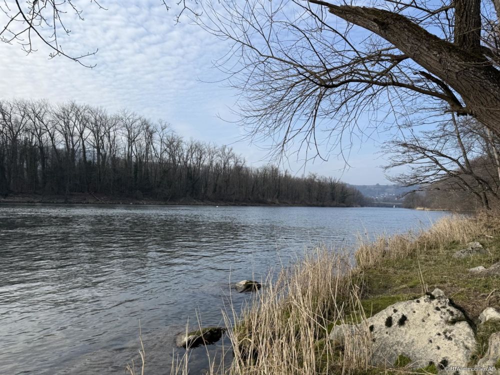 Naturnah, nachhaltig und gute Verbindungen, was will man mehr. - 5 Gehminuten zum Fluss