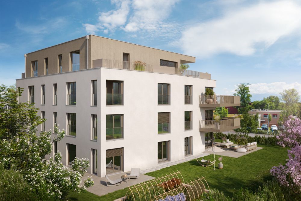 DERNIER LOT EN VENTE - Bild 2