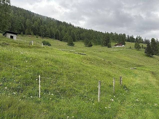 Chalet zum Ausbauen, grosses Wiesland  /  rustico da ristr. -  Bild 10