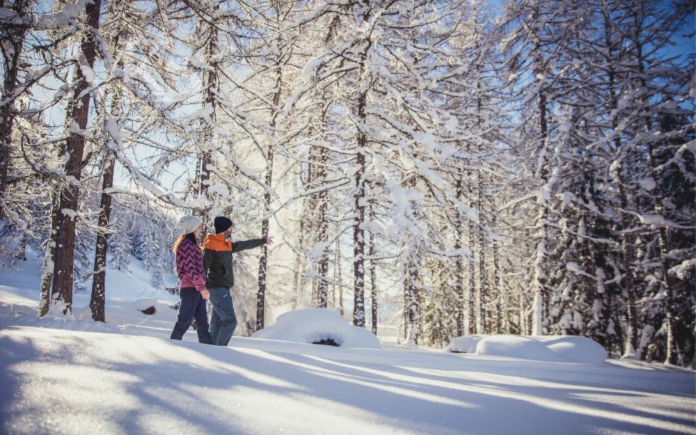 Ihr Traumhaus im Herzen des Goms - Neubauparzellen in Münster VS - Abseits vom Trubel: Ihr Zuhause in den Bergen.