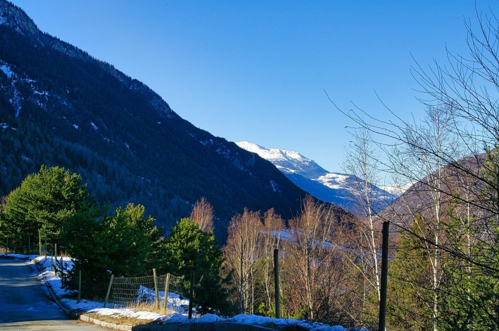 Fantastisches Bauland in ruhiger und unverbaubarer Lage -  Bild 4