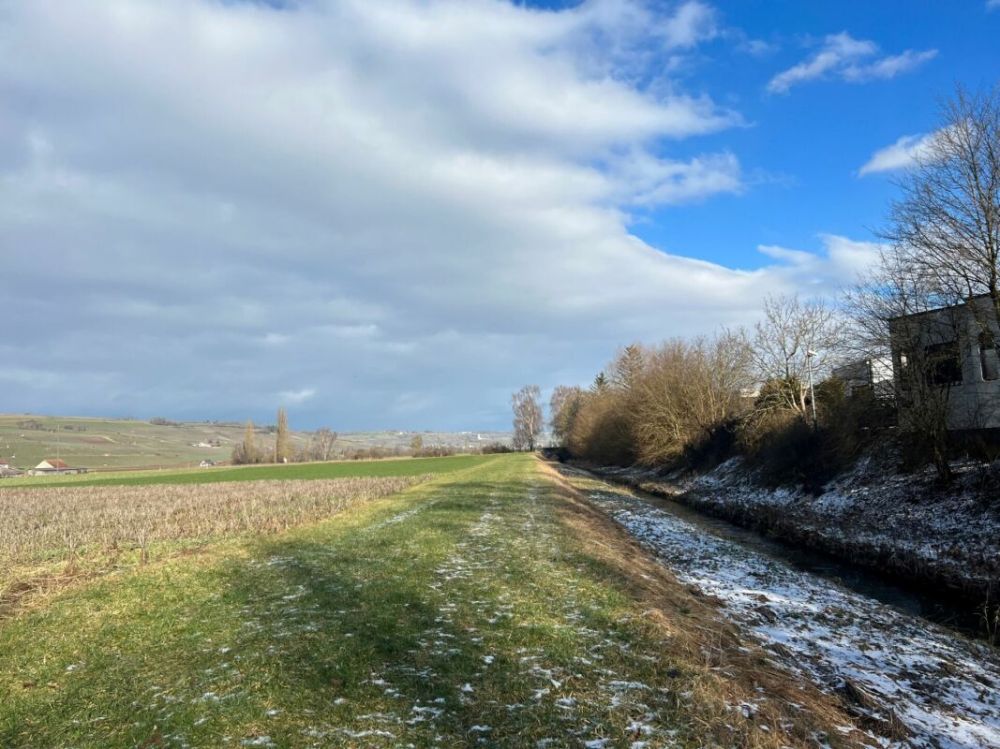 Einfamilienhaus mit Sicht in die Weinberge - Bild 11