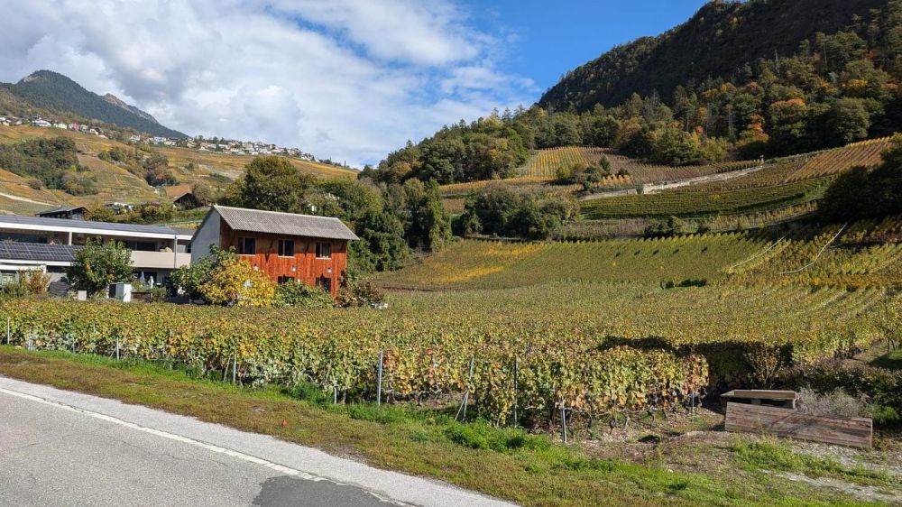 2.5 pièces avec terrasse et jardin privatif orientation plein sud (Vuisse, Savièse) - Bild 4