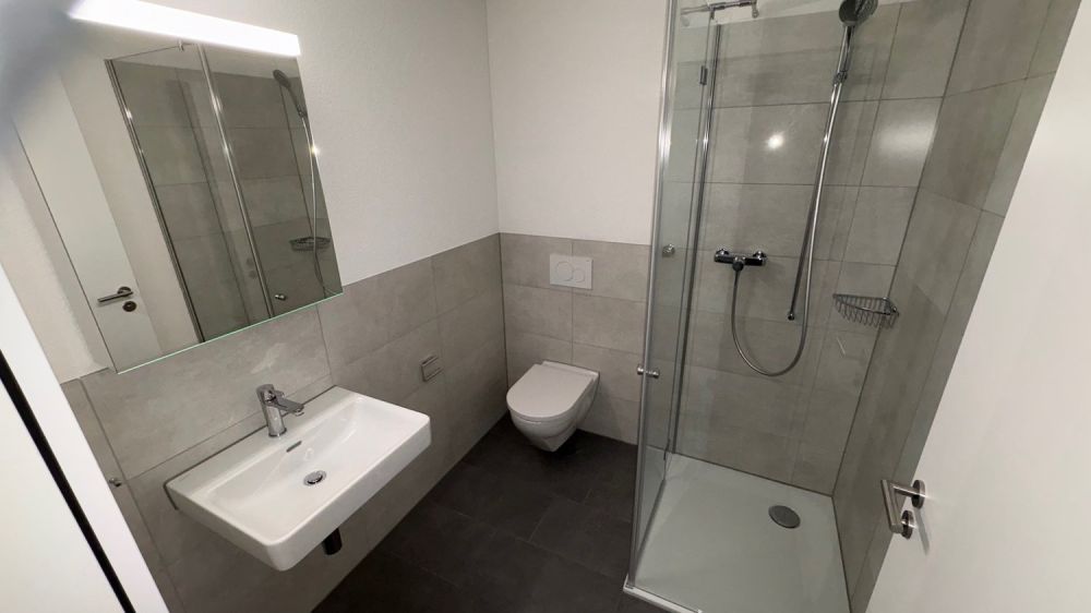 Moderne 4.5-Zimmer-Dachwohnung mit Waldblick in Langnau am Albis -  Bild 7