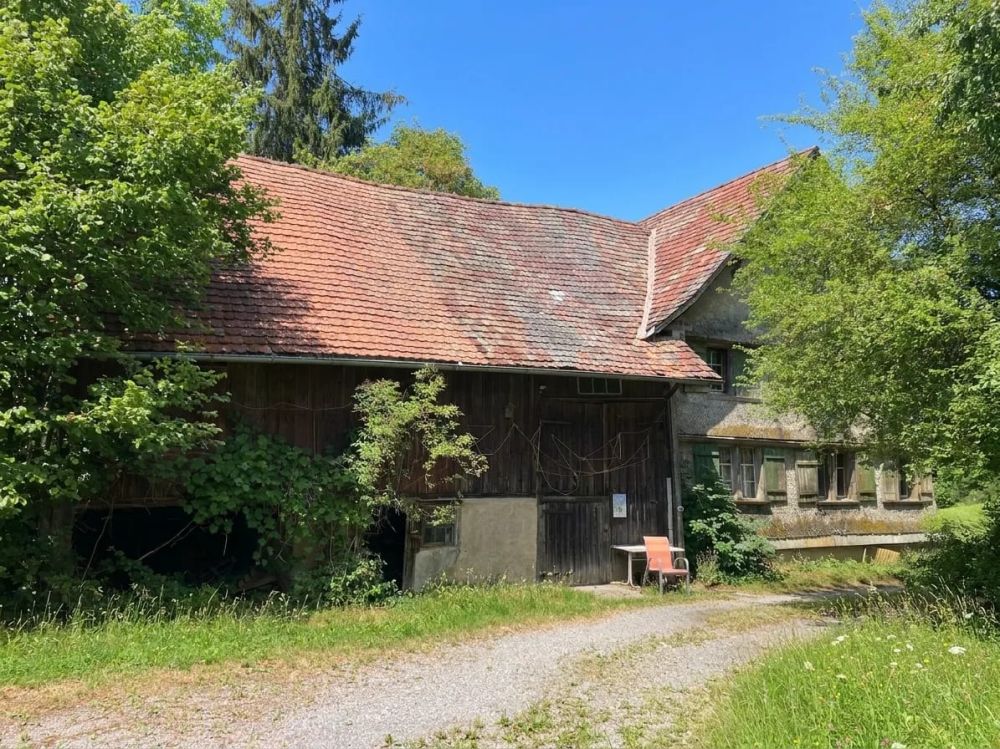 Grundstück 2834 m² mit 9-Zimmer-Neubauprojekt in Wittenbach kaufen -  Bild 4