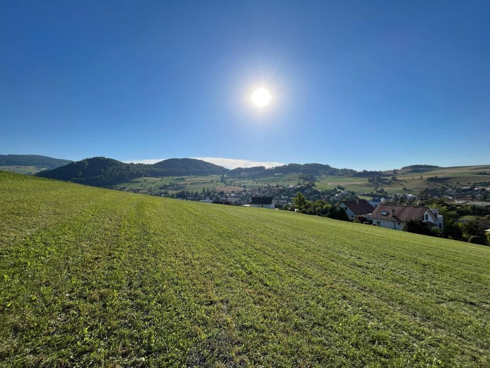 5.5-Zimmer-Doppeleinfamilienhaus Haus E1 & E2 Niederdorf -  Bild 10