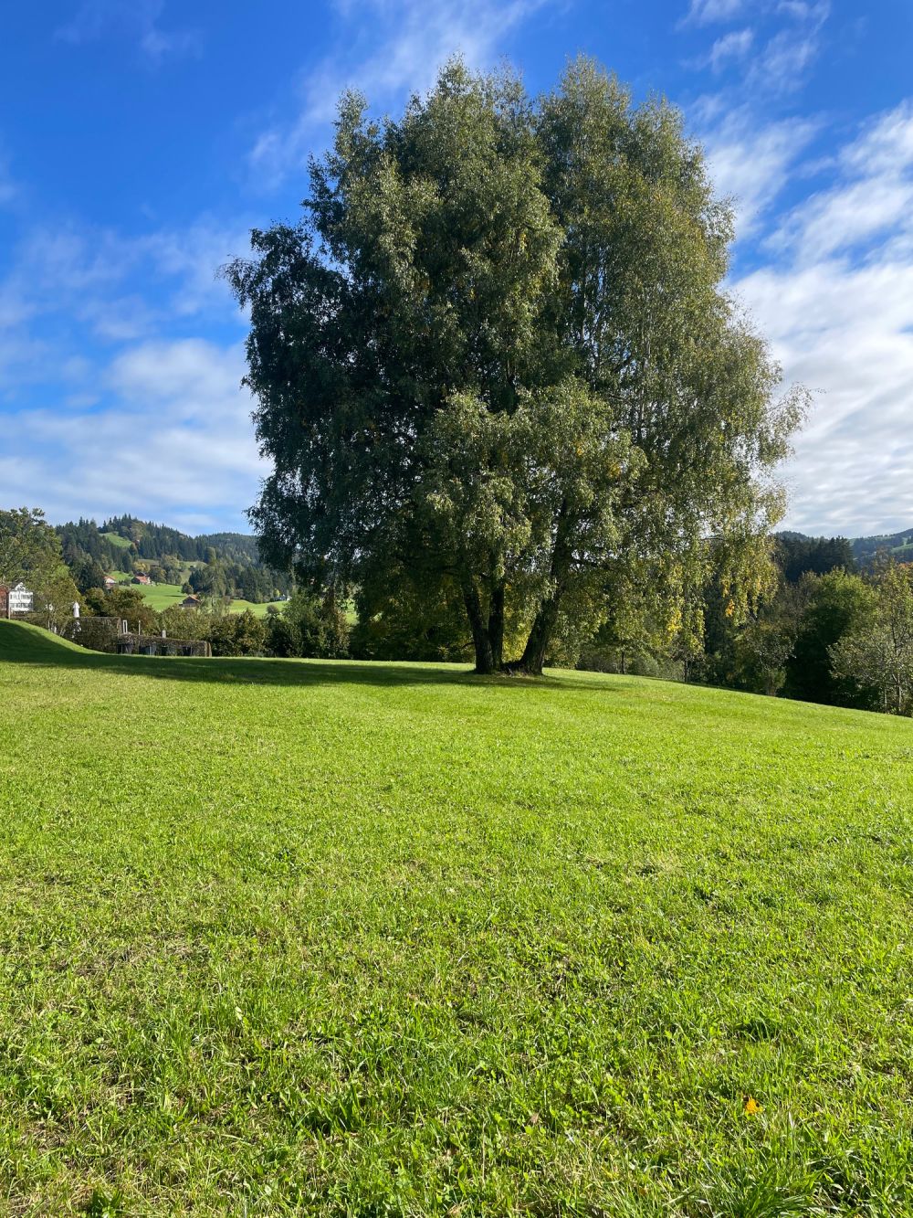 Schickes modernes 7-Zi.-Einfamilienhaus an privilegierter Aussichtslage in Teufen - Bild 3