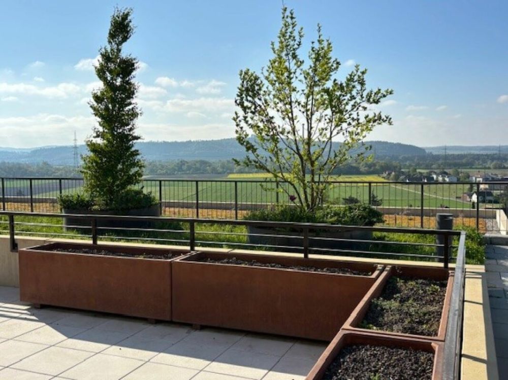 4½-Zimmer-Terrassenhaus mit Aussicht auf Alpen und Aarelandschaft -  Bild 9