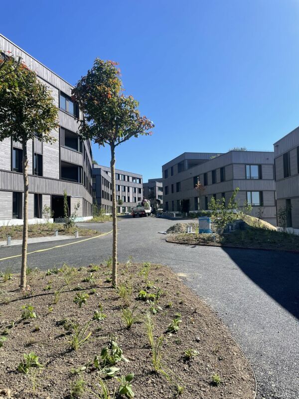 Juwel am Sempachersee - Bild 4