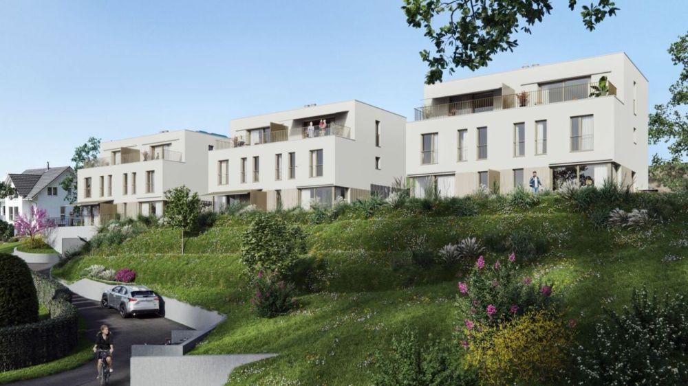 Panoramaview - Neubau 3 Doppeleinfamilienhäuser in Neuenegg - Bild 5