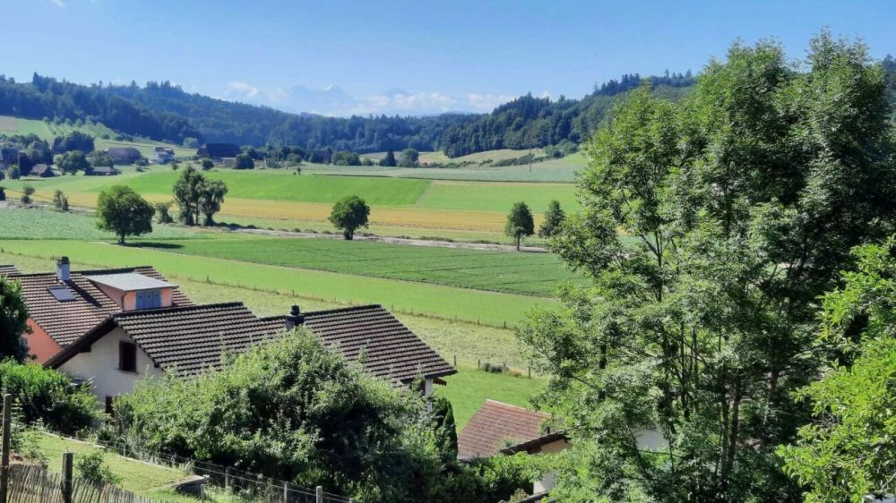Neubau, 6.5 Zi. Einfamilienhaus an Hanglage mit toller Weitsicht - Bild 3