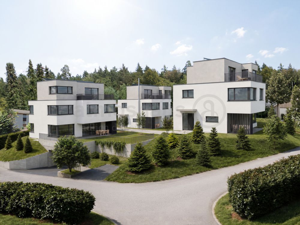 Gehobenes Neubauprojekt in Dietikon: 6.5 Zimmer, Attika & Whirlpool -  Bild 1