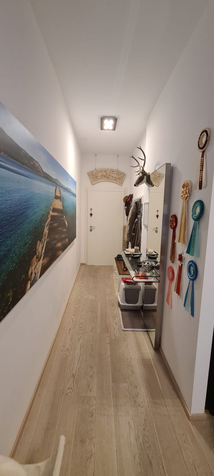 Appartamento duplex in villa di charme a Castagnola - Bild 12