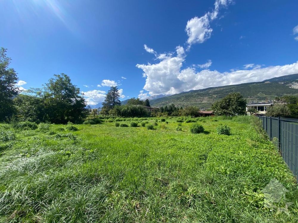 Magnifique projet d'un rez-de-jardin de 3.5 pièces - Bild 4