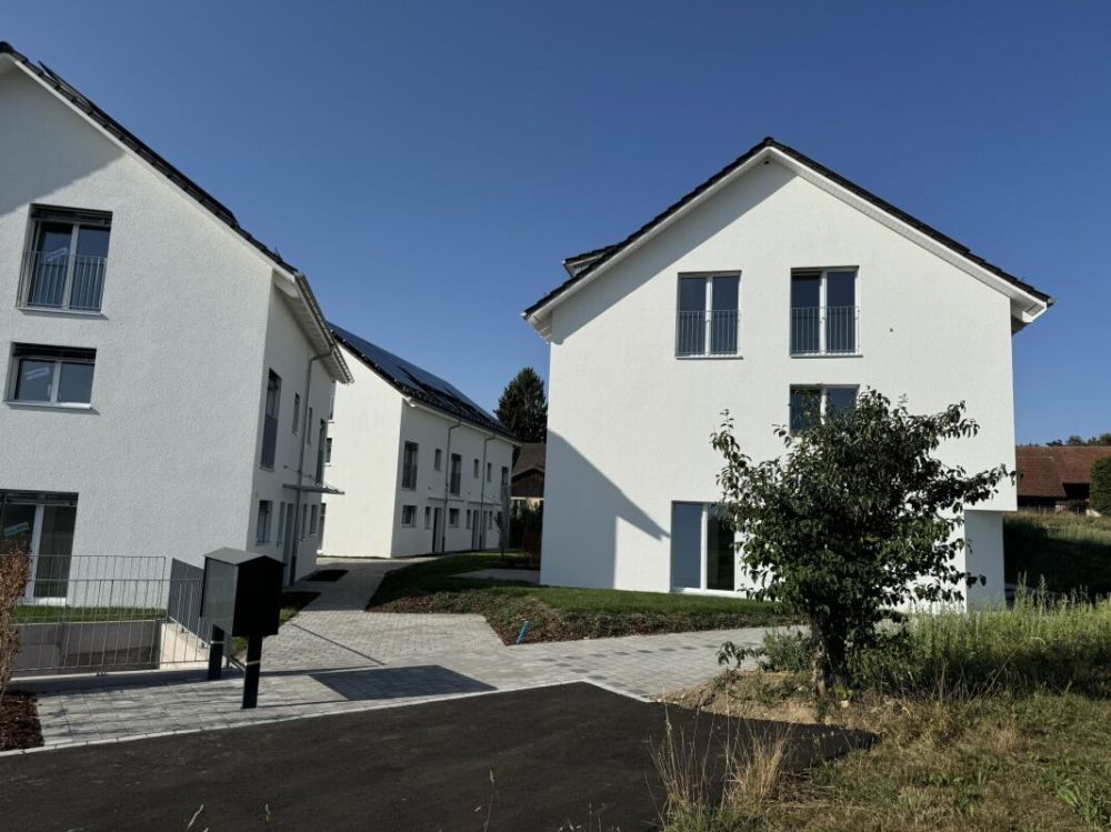Alpenblick Wetzikon TG -  Bild 3