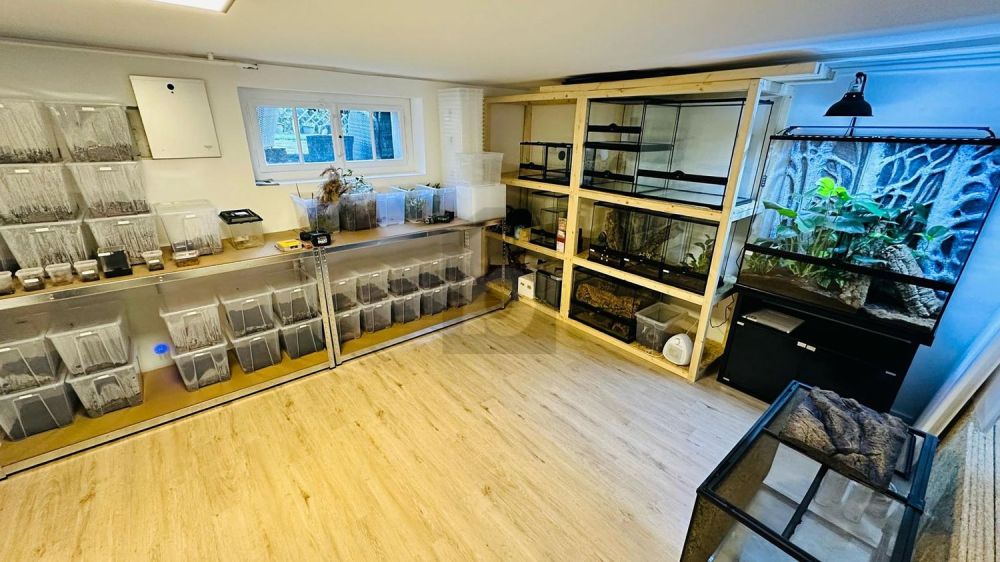 TRAUMLAGE MIT GESTALTUNGSSPIELRAUM - Bild 2