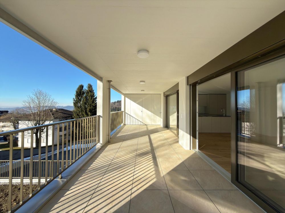 Letzte exklusive 4.5-Zimmer-Wohnung mit Terrasse - Collina - Balkon